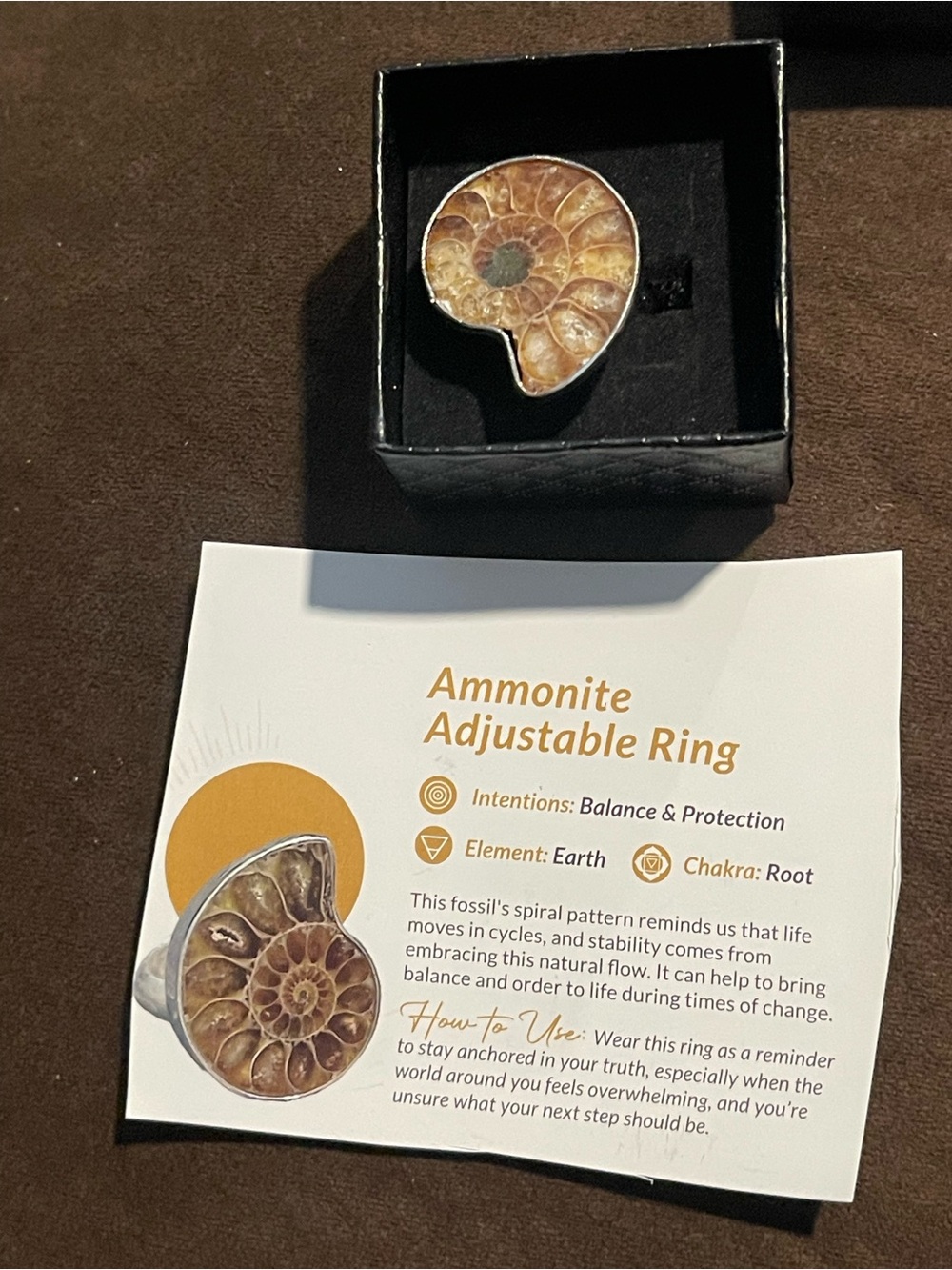 Ammonite Fossil Adjustable Ring - Brown Shell Accent from Mindful Souls